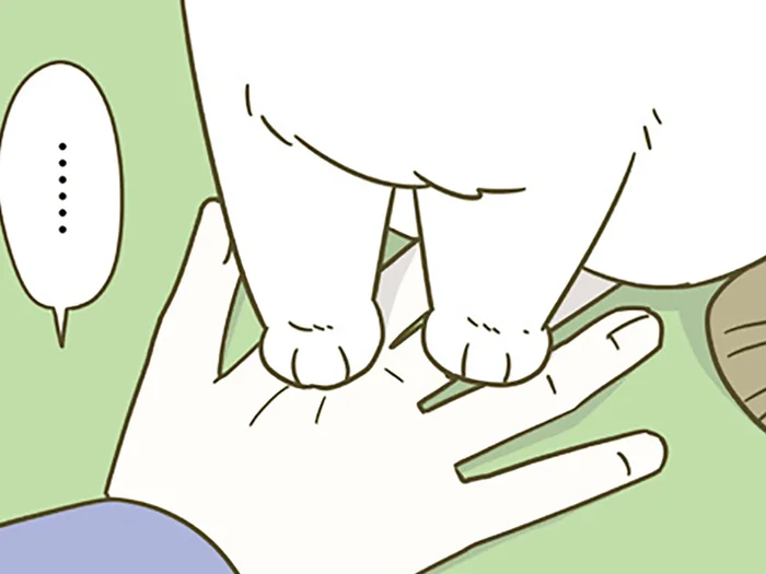 なんだか最近、猫によく踏まれる。不思議に思った飼い主が心理を調べてみると