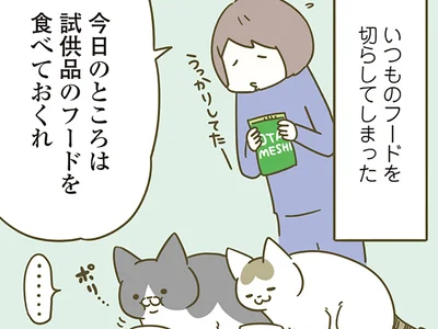 今日のところは…