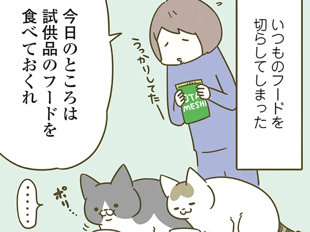 「違うの食べさせろー」試供品のフードが超不評！ 猫たちに食べてもらうための施策
