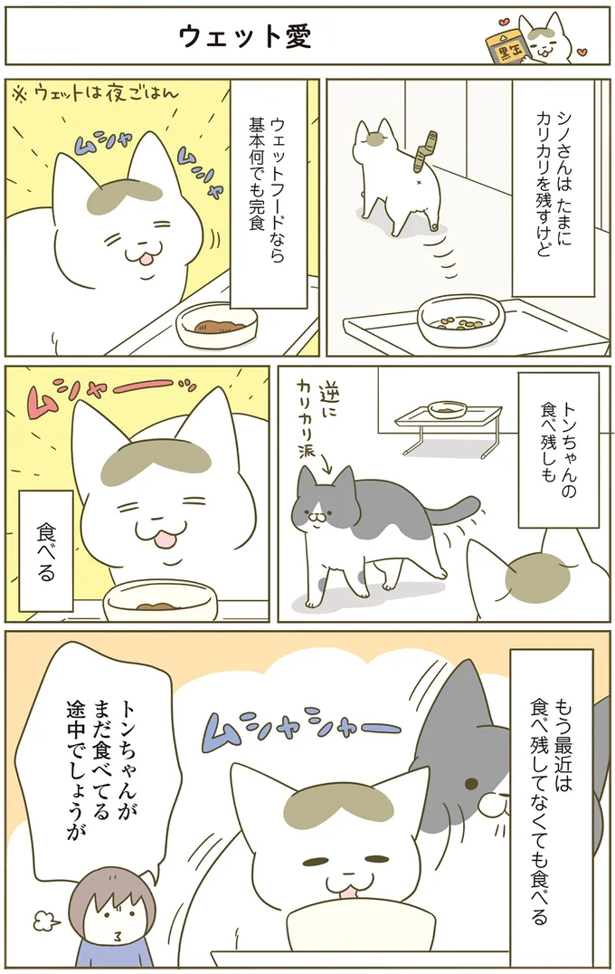 トンちゃんがまだ食べてる途中でしょうが