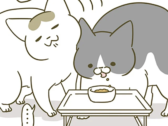 ごはんを横取りされていたのに！ 同居4年目になると、後輩猫にも変化があって？