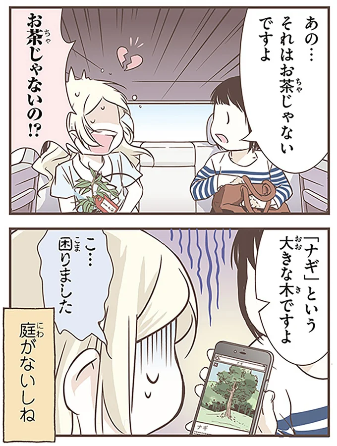 まったくお茶とは関係ないですけど…！