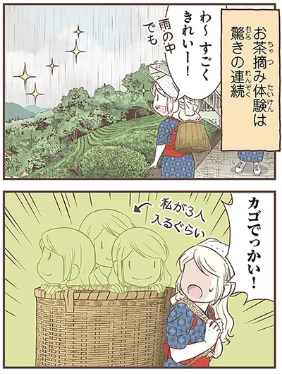 カゴでっかい！