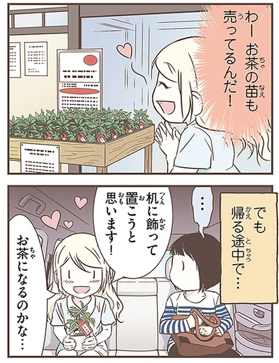 お茶になるのかな…