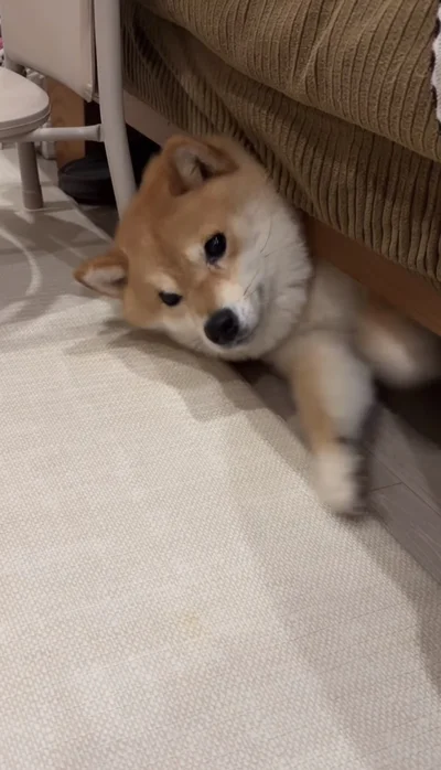 抜け出したくて足をバタバタ▶なかなか出られず…（⇒次へ）