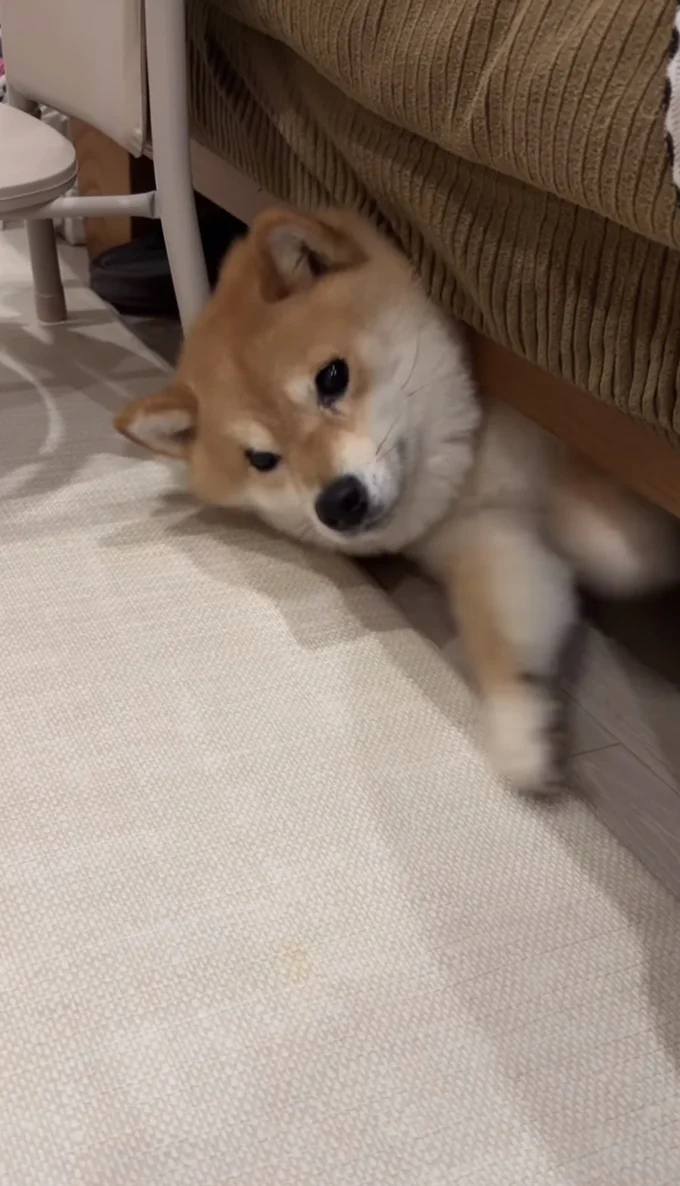 抜け出したくて足をバタバタ▶なかなか出られず…(⇒次へ)