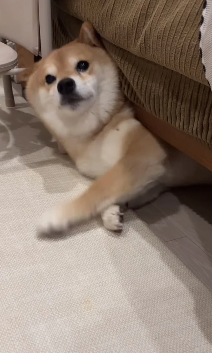 目が真剣▶ぐっと踏ん張ると…(⇒次へ)
