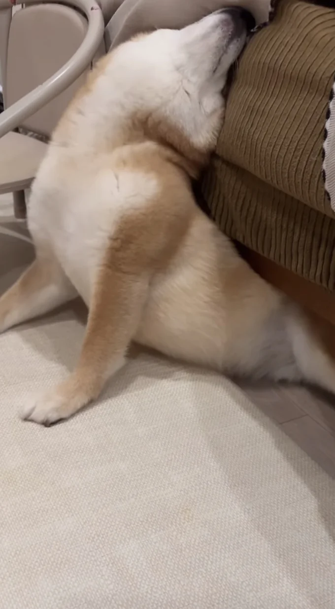 海老ぞり▶ついに…(⇒次へ)