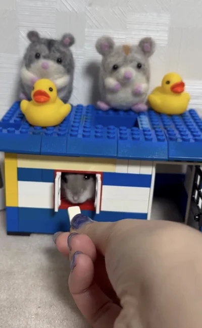 飼い主さんがおやつを差し出す（⇒次へ）