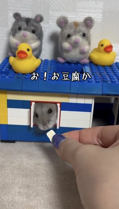 お！お豆腐だ！▶匂いにつられ…（⇒次へ）