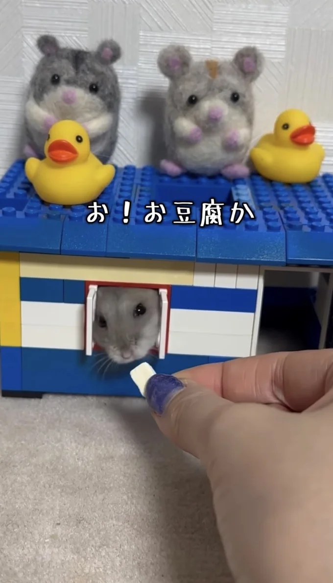お!お豆腐だ!▶匂いにつられ…(⇒次へ)