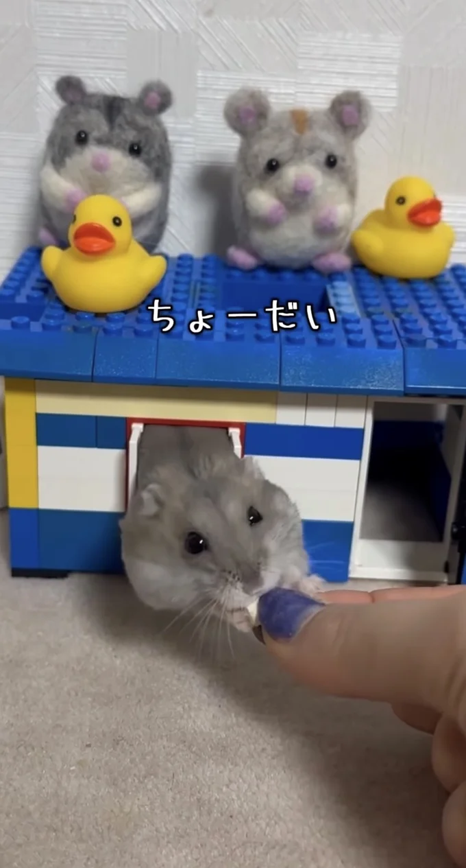 体の半分が外に出た▶ヤバい!落ちる…!(⇒次へ)