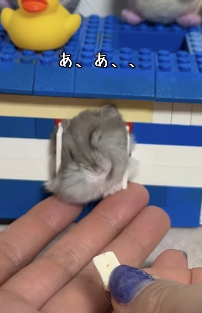 なかなか抜けない〜!▶顔が潰れるぅ…(⇒次へ)