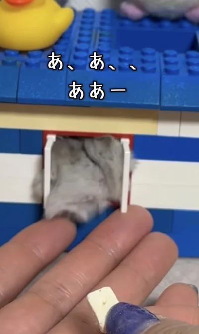 もはや誰？▶ようやく戻れて…（⇒次へ）