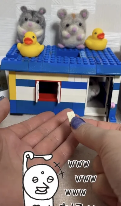 入り口からチラリ▶こだわり強め（⇒次へ）