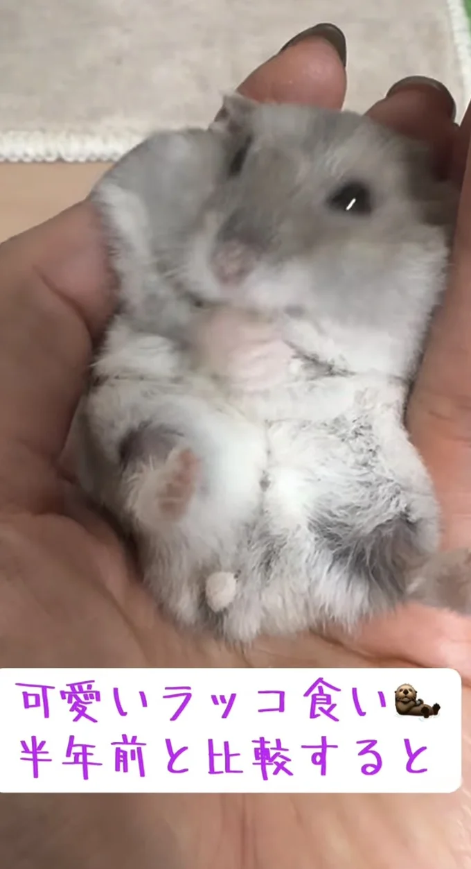 アフター▶半年前よりスッキリしたね(⇒次へ)