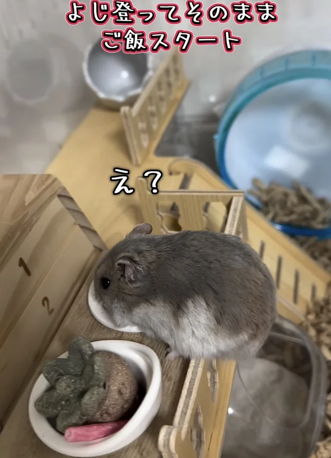 手すりからいただきます▶大丈夫?(⇒次へ)