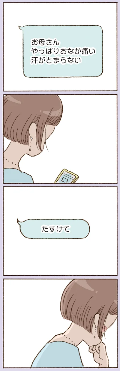 『わたしが誰だかわかりましたか？』より