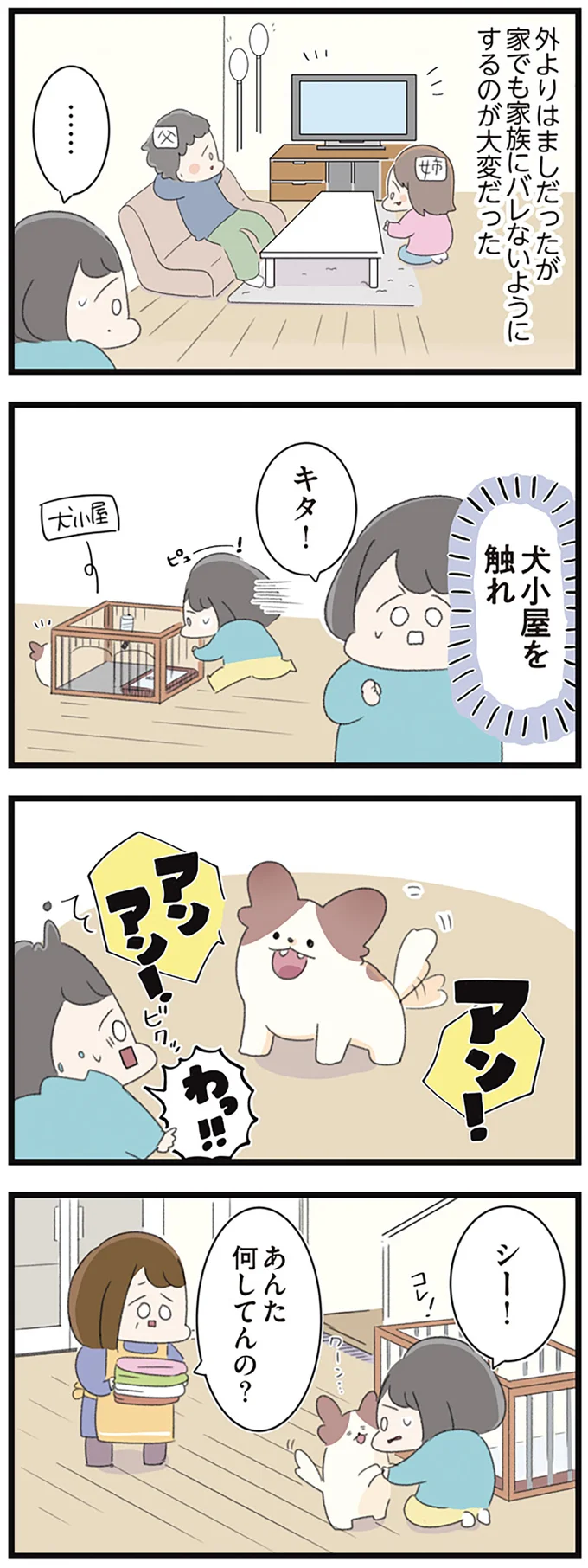 『高校生のわたしが精神科病院に入り自分のなかの神様とさよならするまで』より