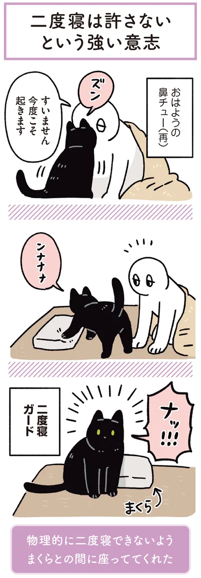 今度こそ起きます