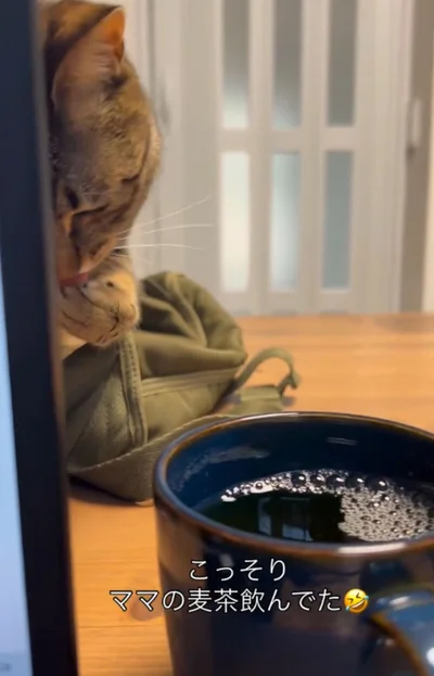 麦茶に触れなかった…▶リベンジ！？（⇒次へ）