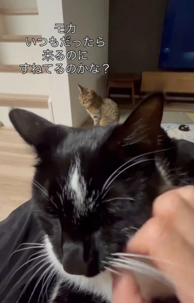 下を向き、拗ねているかのよう▶運動神経抜群！？（⇒次へ）