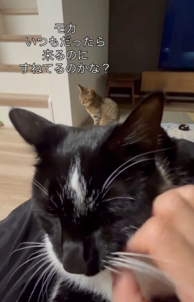 下を向き、拗ねているかのよう▶運動神経抜群!?(⇒次へ)