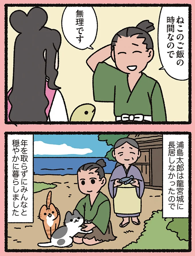 ねこのご飯の時間なので