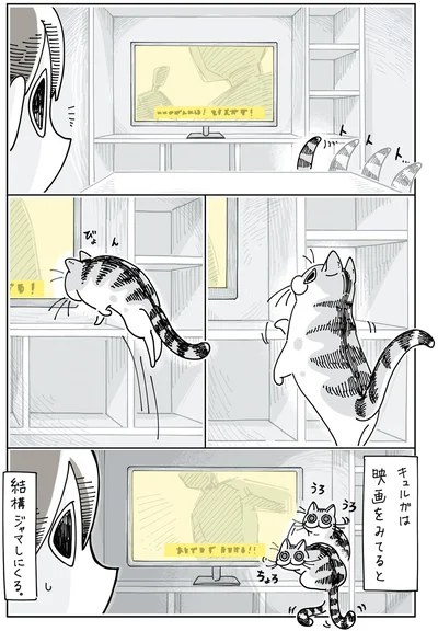 映画をみてると