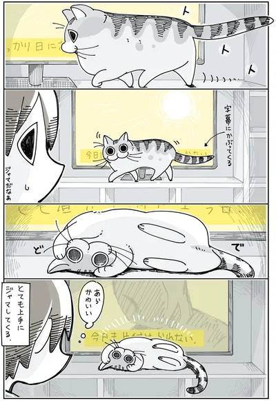 とても上手にジャマしてくる