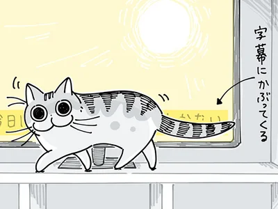 字幕が見えないけれど