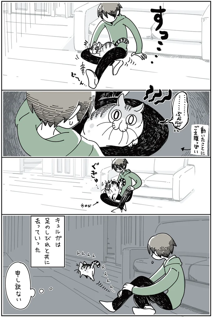 申し訳ない