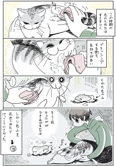 もう一匹できあがるのでは