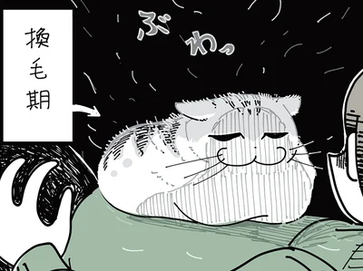 ぶわっ