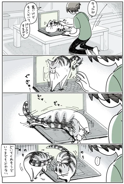 どいてくれそうでいつまでもどかない