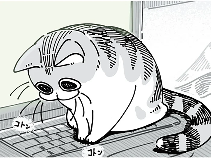 キーボードの上がお気に入りのネコ。どいてくれそうでどかない！