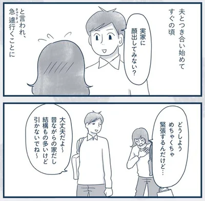 『わたしのウチには、なんにもない。4コマ総集編』より