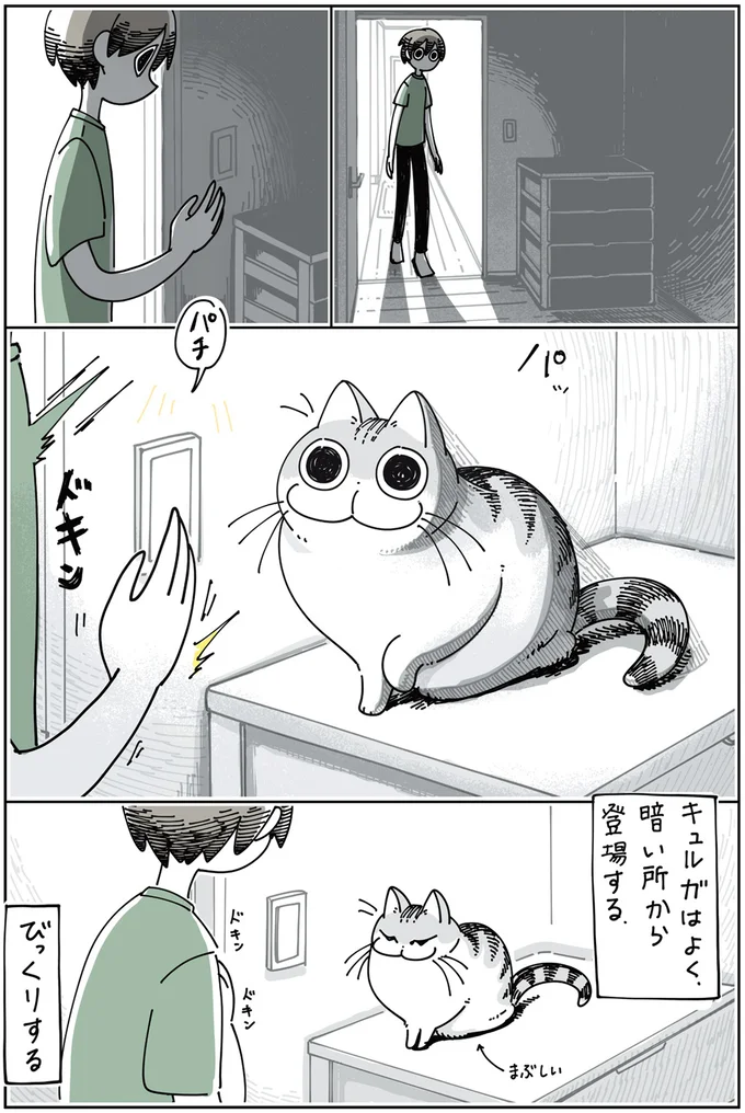 ネコにびっくりする