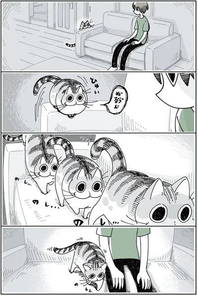 となりに座るネコ