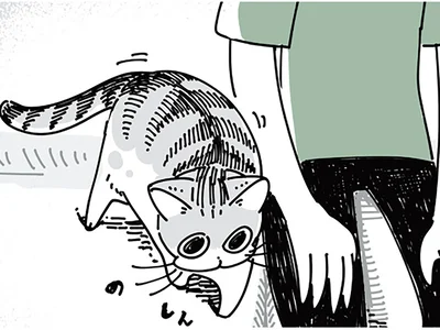隣に来てくれた猫