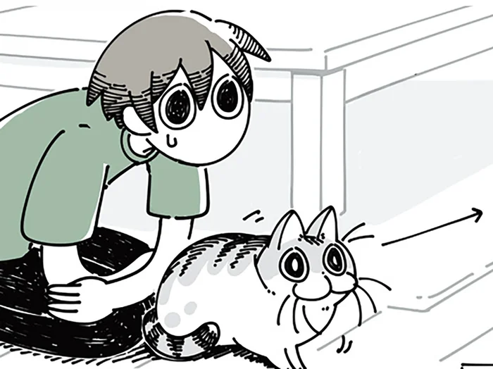 何かを目で追うネコ。目線を合わせてみると大抵見つかるものは