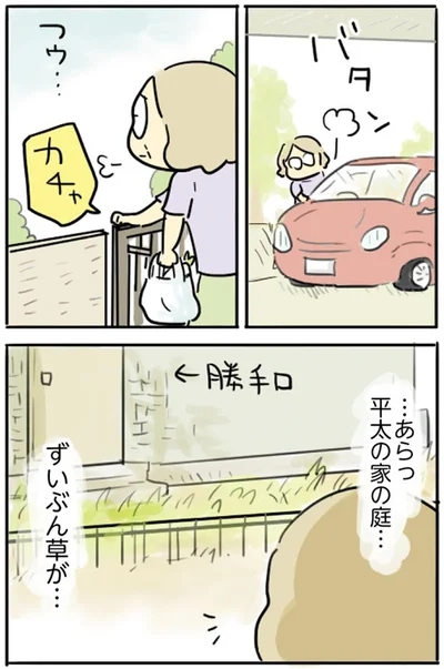 ずいぶん草が…