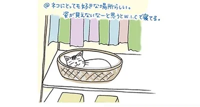 ネコにとっても好きな場所らしい