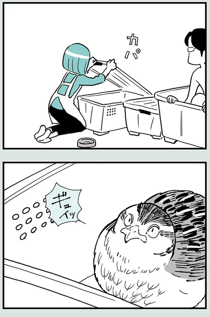 ハイごはん