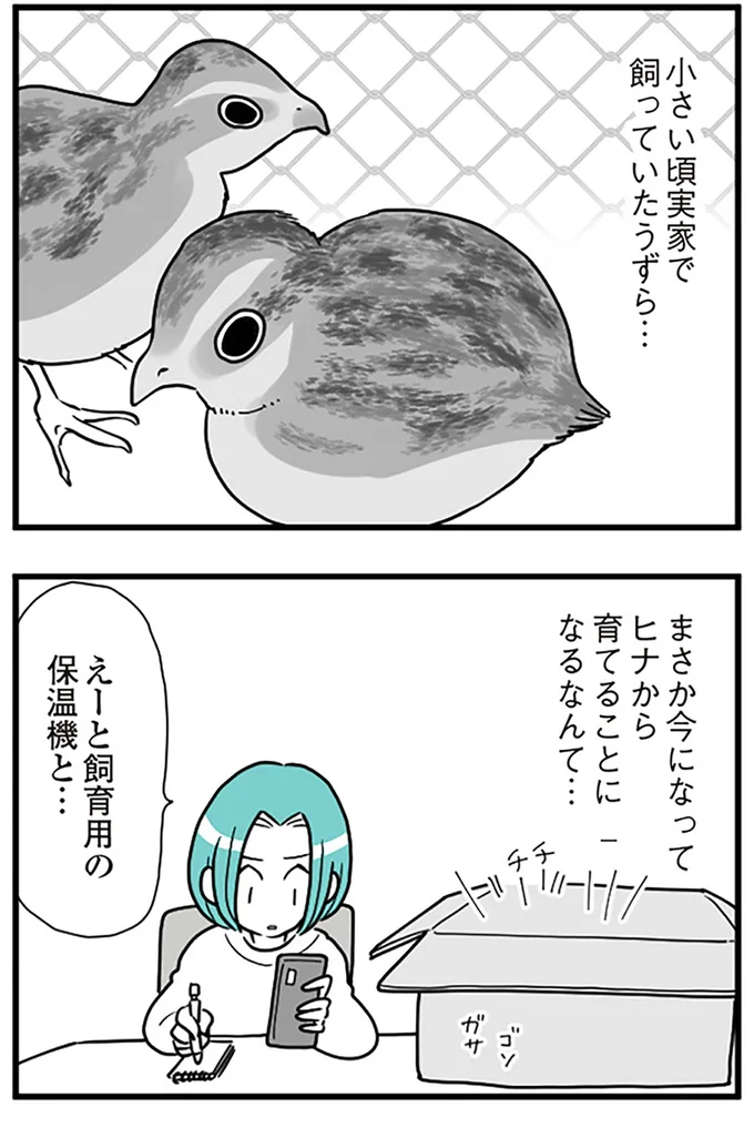 『うずら男 モラハラかまって夫が人間をやめるまで』より