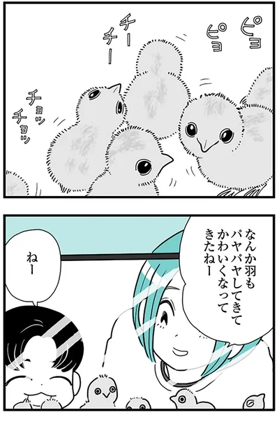 『うずら男 モラハラかまって夫が人間をやめるまで』より