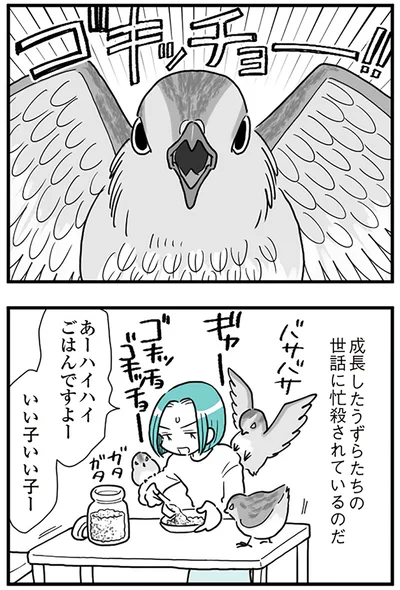『うずら男 モラハラかまって夫が人間をやめるまで』より