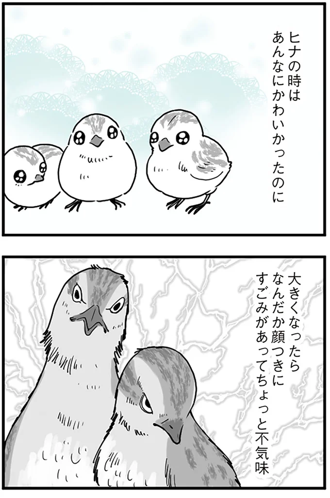 『うずら男 モラハラかまって夫が人間をやめるまで』より