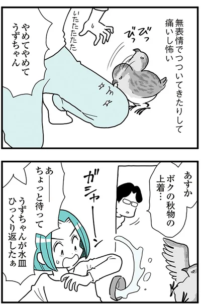 『うずら男 モラハラかまって夫が人間をやめるまで』より