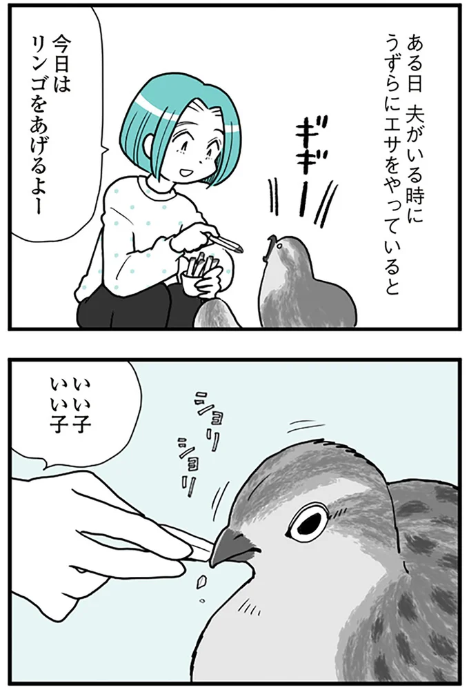 『うずら男 モラハラかまって夫が人間をやめるまで』より